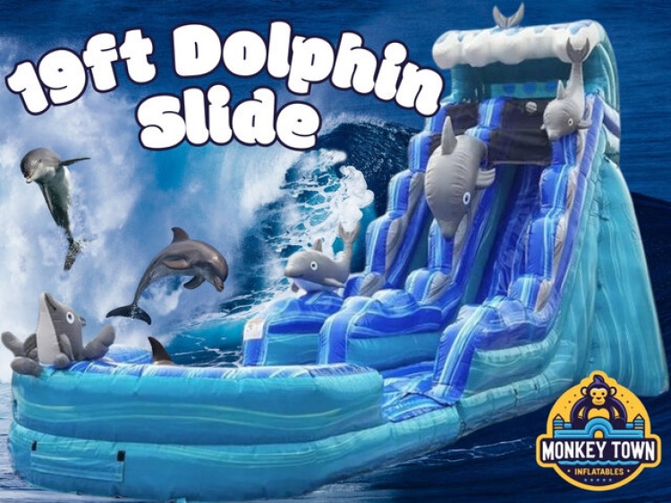 19ft Dolphin Water Slide