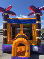 Lava Falls Bounce House